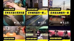 昆明海豚湾爆料视频大全,揭秘幕后真相与精彩瞬间  第1张