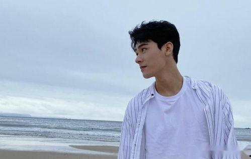 龚俊爆料视频最新版本,娱乐圈幕后真相大曝光 第3张 龚俊爆料视频最新版本,娱乐圈幕后真相大曝光 第3张